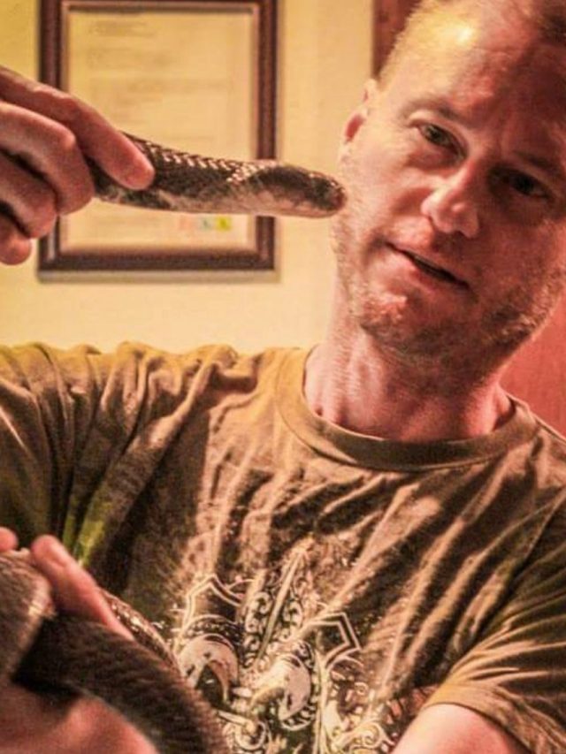 Homem se deixou ser picado 856 vezes por cobras para criar ‘soro universal’