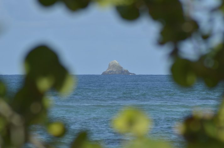 Ilha genérica/neutra
