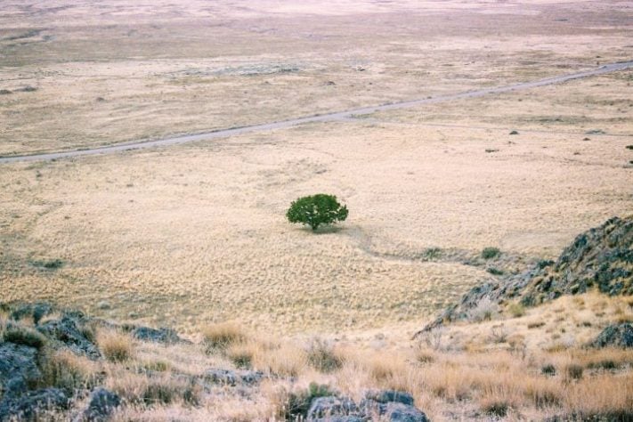 Floresta seca