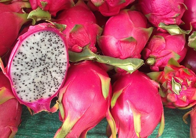 Fruta do Dragão: veja como plantar e os benefícios da pitaya