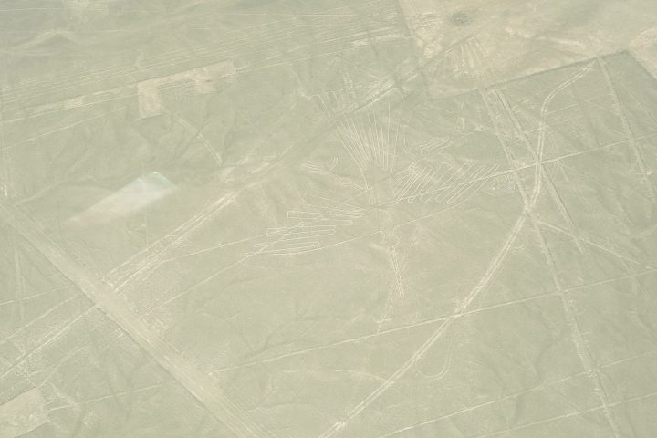 Essas figuras gigantescas cobrem uma área de cerca de 500 km².