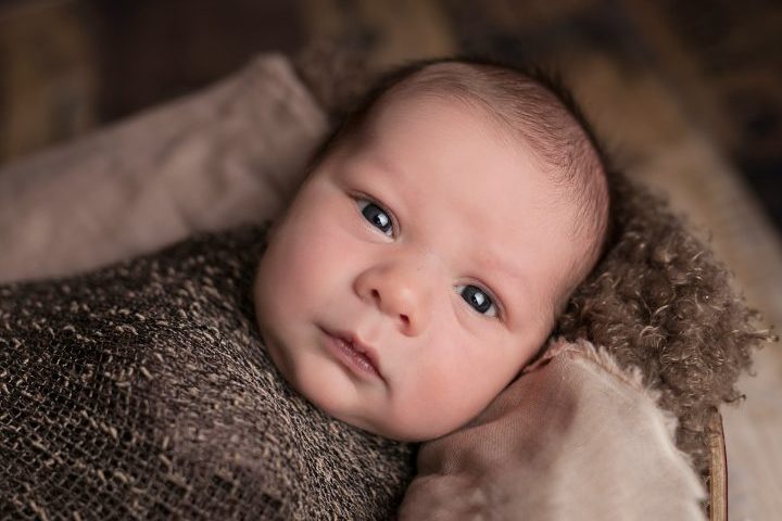 5º) Theo (18.493 registros):  Forma curta de Teodoro ou Teófilo, derivados do grego Theos (????), que significa "Deus".-Unsplash/Mindy Olson P