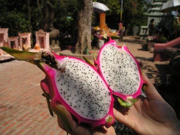 Pitaya