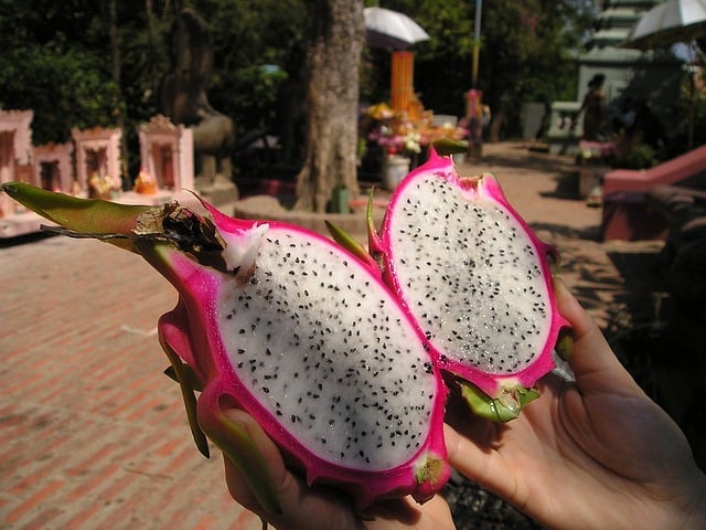 Os antioxidantes presentes na pitaya, especialmente os polifenóis, ajudam a proteger as células do organismo contra o dano causado pelos radicais livres, contribuindo para a prevenção de algumas formas de câncer.
