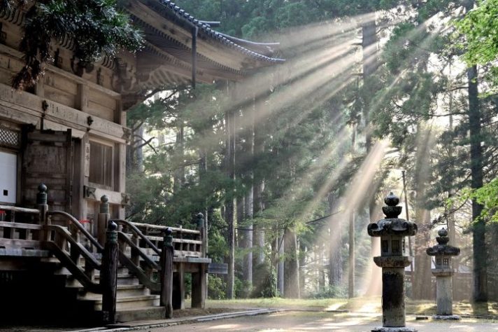 Templo Japão - foto NEUTRA