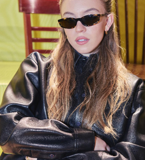 Na vida pessoal, Sweeney começou a namorar o empresário Jonathan Davino em 2018, e eles ficaram noivos em 2022. Produziram juntos filmes como 