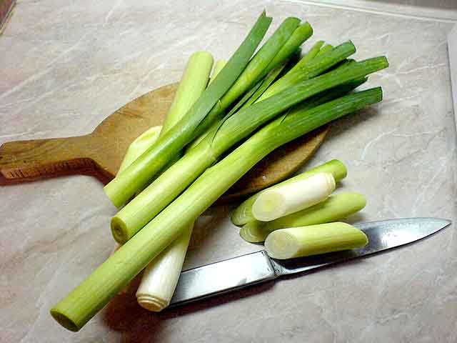 No PaÃ­s de Gales, o alho-porÃ³ Ã© um sÃ­mbolo da guarda nacional e Ã© usado em celebraÃ§Ãµes, como o Dia de SÃ£o Davi. Ele, entÃ£o, Ã© um ingrediente importante em muitas culinÃ¡rias do norte da Europa e Ã© cultivado em vÃ¡rios paÃ­ses do Velho Continente. 