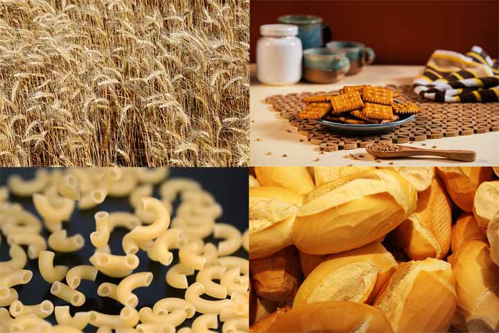 O trigo é um cereal do tipo gramínea cujos grãos processados são considerados por alguns como a fonte de alimento mais importante globalmente. Por outro lado, ele também pode gerar reações alérgicas em determinadas pessoas. 