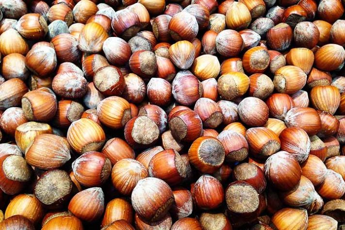 Alergia a Caracol