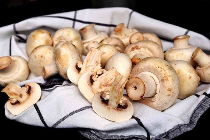 Cogumelos