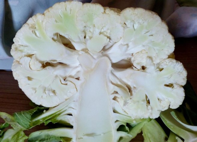 Couve-flor, brócolis e repolho
