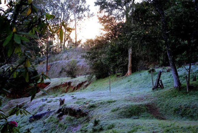 Campos do Jordão se prepara para a 54ª Festa da Cerejeira