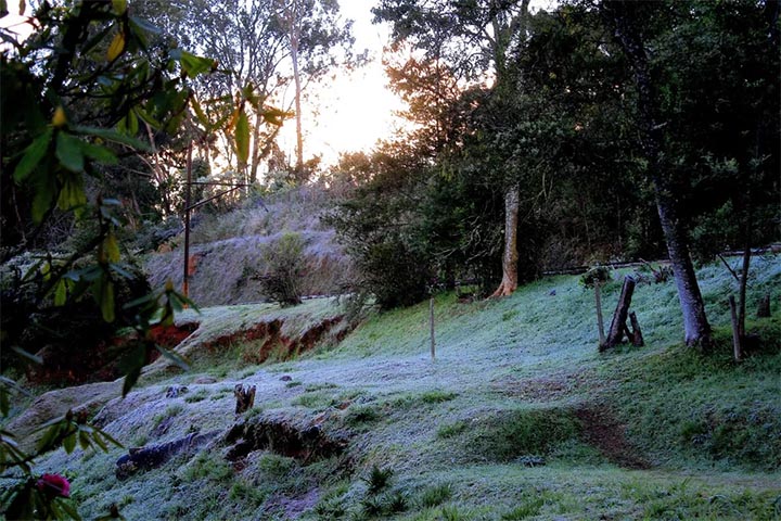 Inverno - Campos de Jordão - Divulgação