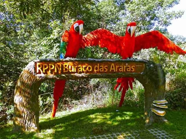 Buraco das Araras, em Jardim (MS). - Divulgação