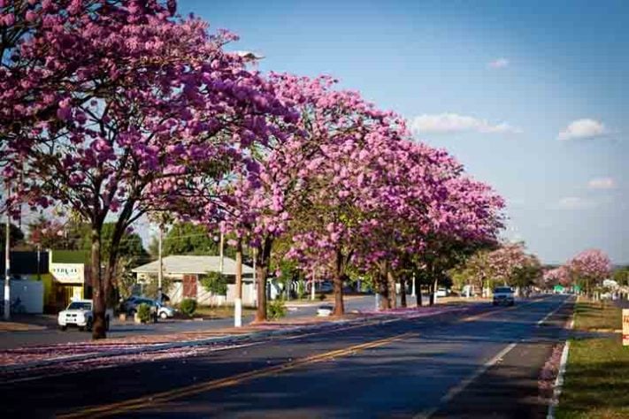 Jardim (Mato Grosso do Sul) - Buraco das Araras, em Jardim (MS). - Flickr Sergio Azevedo
