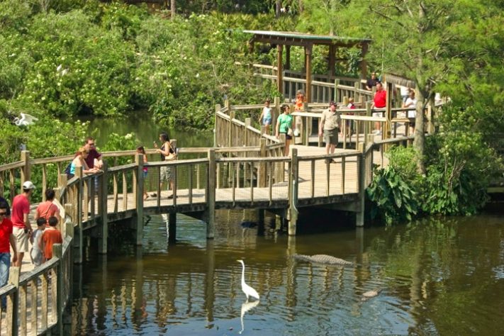 Gatorland, Orlando - Flórida