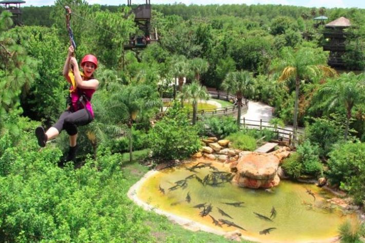 Gatorland, Orlando - Flórida