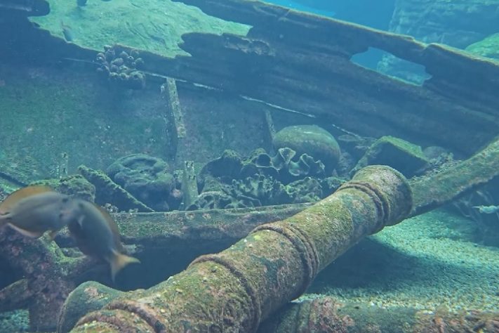 Arqueólogos descobrem navio mercante do século 16 no fundo do Mar Mediterrâneo