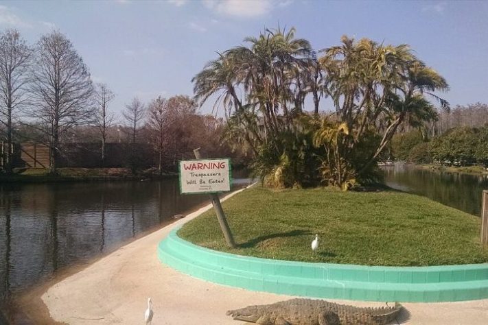 Parque Gatorland, Orlando - Flórida