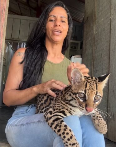 Luh da Roça jaguatirica