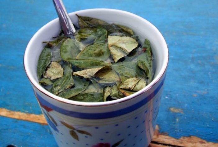 Chá de coca