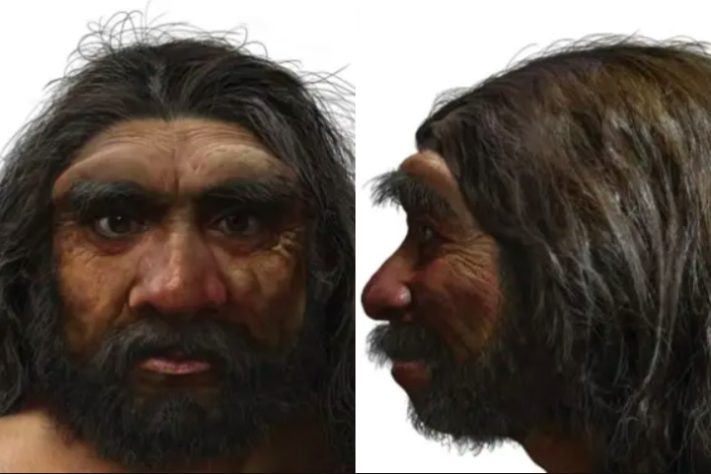 Homo longi - Homem Dragão