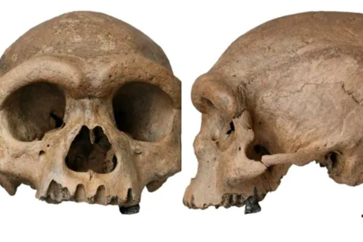 “Ainda há muito trabalho a fazer para entender exatamente quem foram os denisovanos e como eles se relacionam conosco e com outros hominídeos", disse Ryan McRae, paleoantropólogo do Museu Nacional de História Natural Smithsonian de Washington, DC.