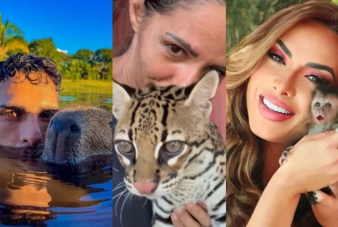 Influenciadores que monetizam com vídeos de animais silvestres geram debates nas redes