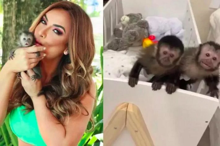 Nicole Bahls - macacos