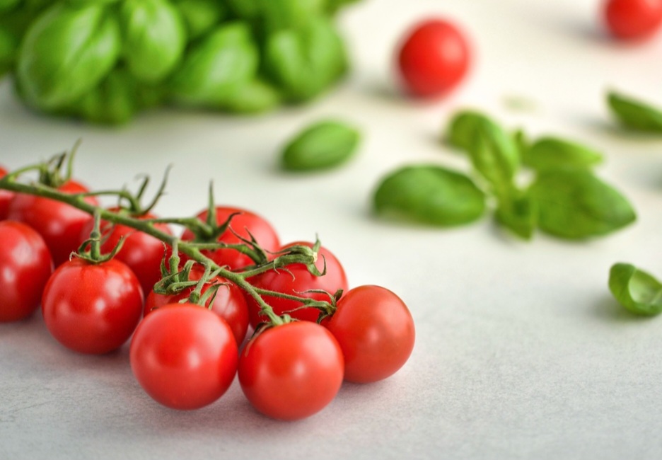 O tomate perde sabor quando vai à geladeira antes de amadurecer. O ideal é deixá-lo fora até ficar maduro e só depois refrigerar, se necessário.