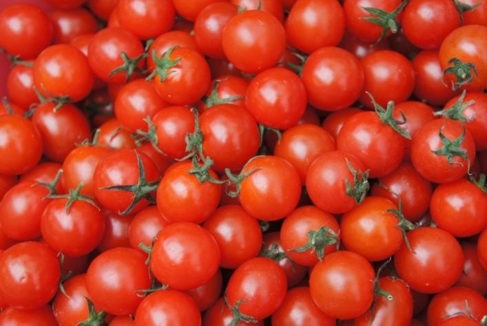 Tomate