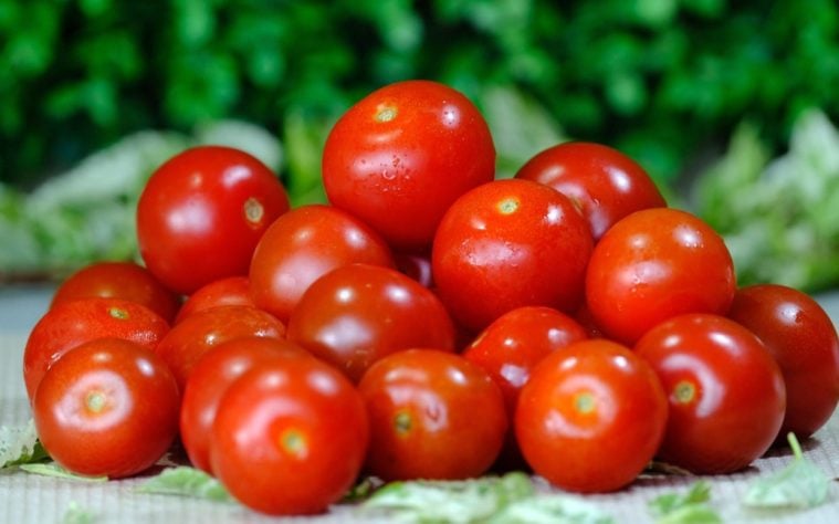 Tomate