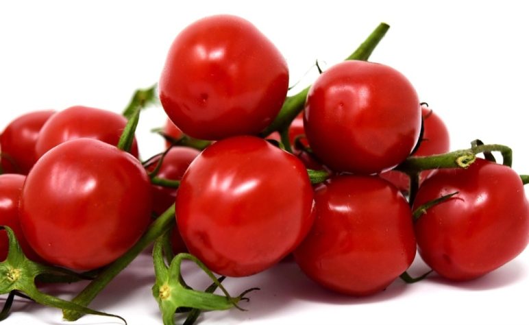 Tomate