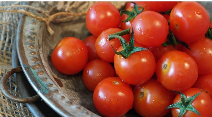 Tomate