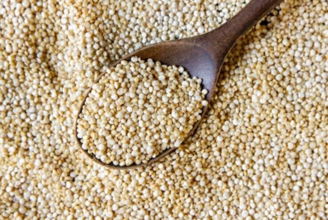 Rico em cálcio, gergelim regula colesterol e previne doenças cardiovasculares