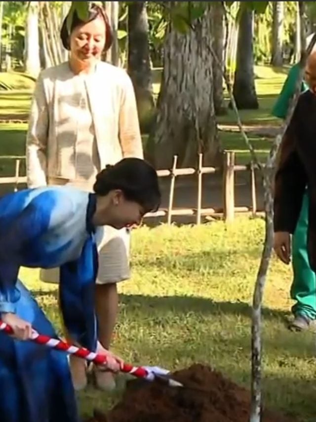 Momentos da Princesa Kako, do Japão, no Brasil; e outras belas princesas da atualidade