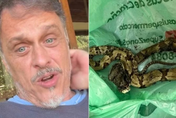 ‘Doeu tanto que nem sei explicar’: Ex-ator da Globo é picado por cobra