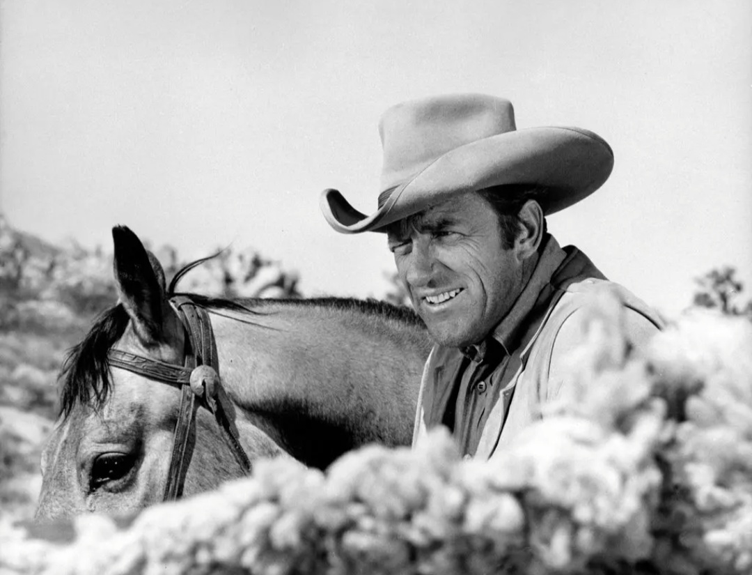 No cinema, ficou conhecido ao interpretar o delegado Matt Dillon na sÃ©rie "Gunsmoke". Morreu em 3/6/2011 aos 88 anos 