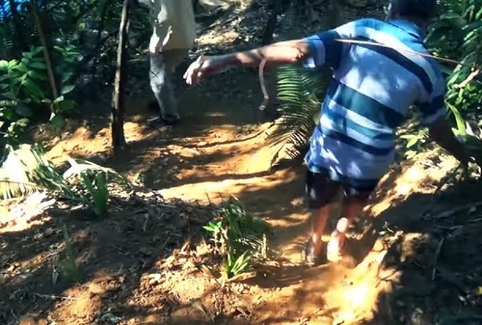 Trilha para chegar na Lagoa Azul de Niquelândia (GO)