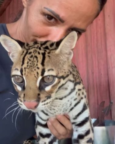 Luh da Roça jaguatirica