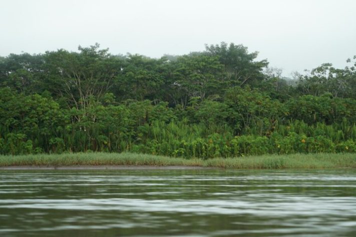 Rio Amazonas
