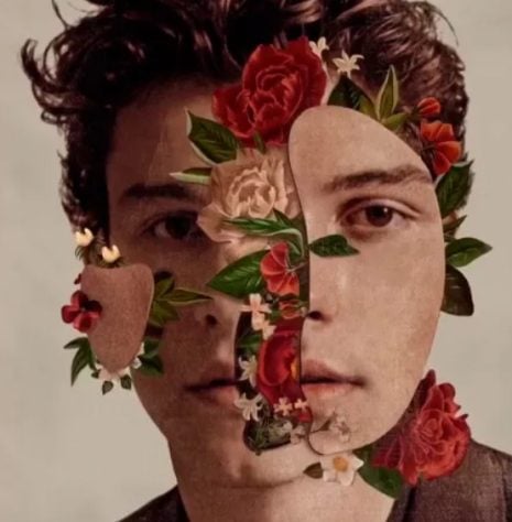Shawn Mendes