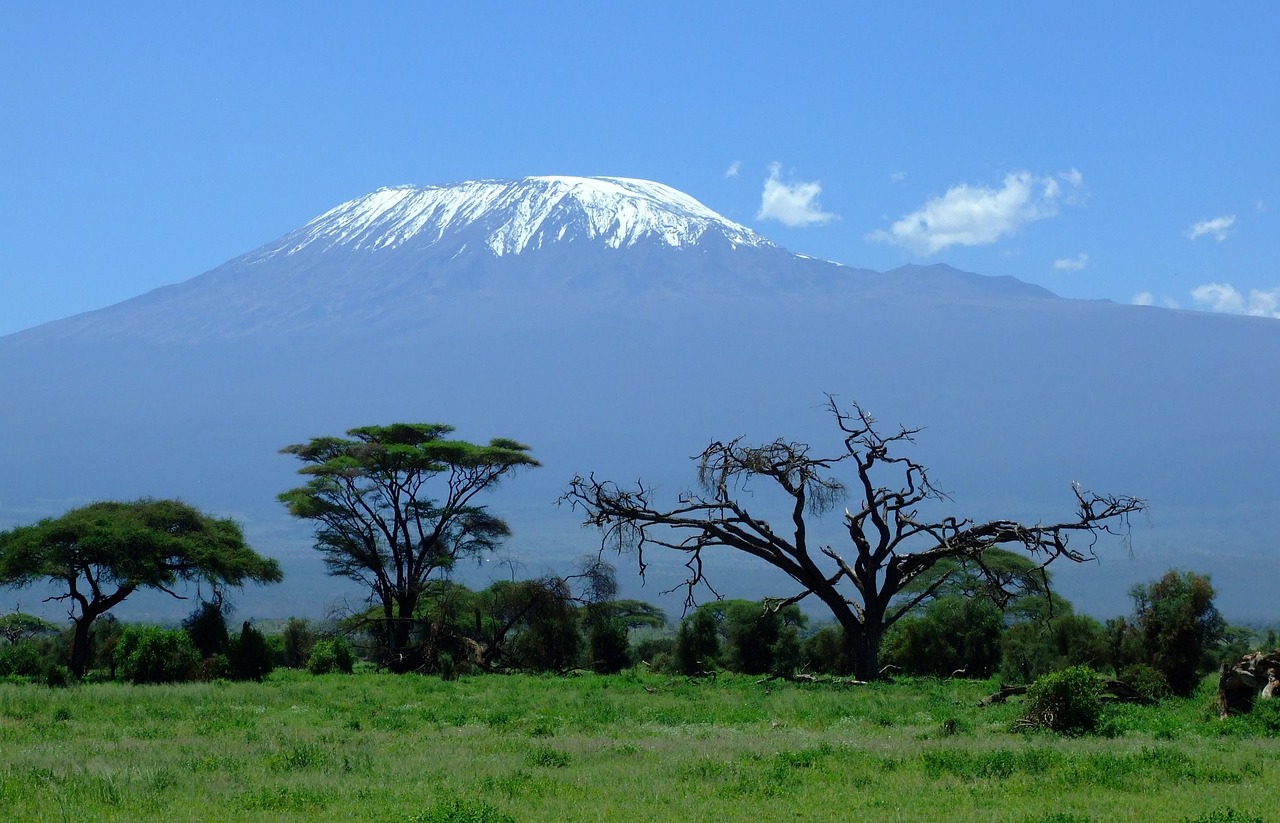 O Monte Kilimanjaro fica na Tanzânia e tem cerca de 5.895 metros de altitude, sendo a montanha mais alta da África. Mesmo localizado próximo à Linha do Equador, seu topo é coberto por neve e gelo, resultado das baixas temperaturas nas grandes altitudes.