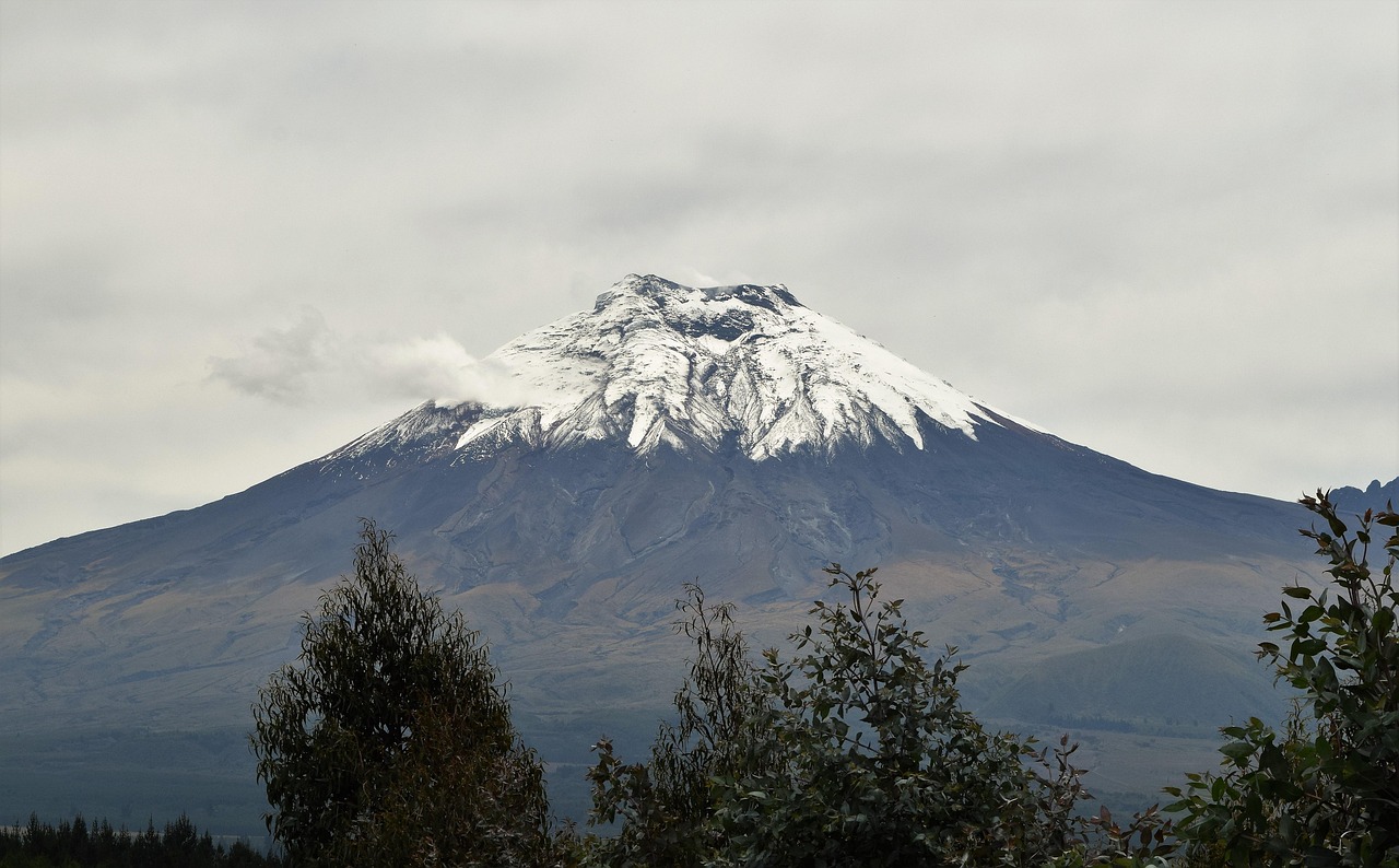 Além da altitude, fatores como latitude, regime de ventos e quantidade de precipitação influenciam na presença de neve. Algumas dessas montanhas abrigam geleiras permanentes, enquanto outras apresentam neve sazonal, que varia ao longo do ano. Veja exemplos de montanhas ao redor do mundo onde o gelo e a neve ainda marcam presença.