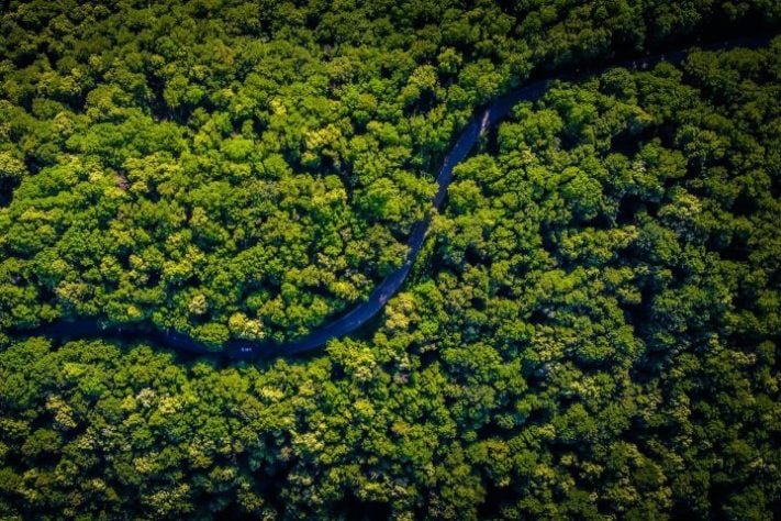 Amazonas - Ilha das Guianas, Brasil
