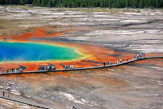 ‘Derreteu’ em lago fervente: turistas presenciaram morte terrível de bisão nos EUA