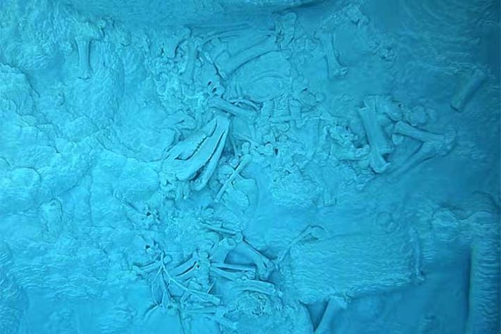 Esqueleto de alce no fundo de lago na fonte termal Doublet Pool, no parque de Yellowstone (EUA) - Turistas assistiram a bisão se dissolver em lago quente nos EUA - Universidade da Califórnia Berkley