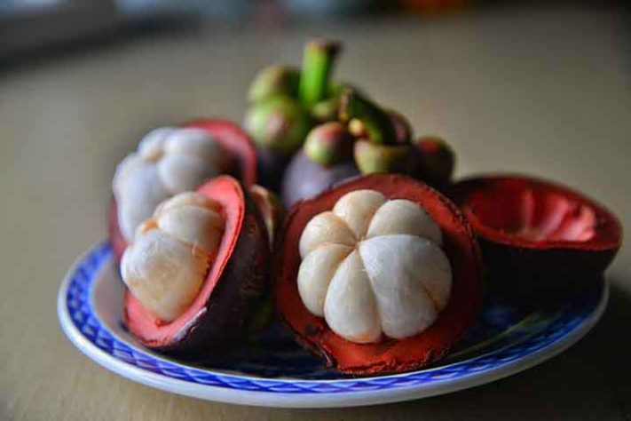 Mangostão