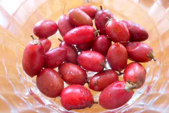 A fruta-do-milagre (Synsepalum dulcificum) foi descoberta no século XVIII pelo explorador francês Chevalier des Marchais, que observou como nativos africanos a utilizavam para adoçar alimentos. 