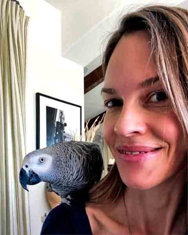 Hilary Swank